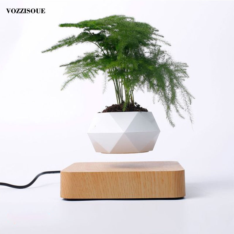 Levitating Flower Pot