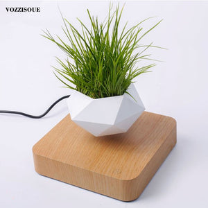 Levitating Flower Pot