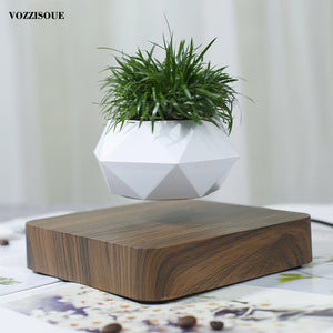 Levitating Flower Pot